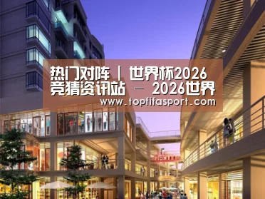 案例展示一(图1)