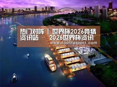 案例展示八