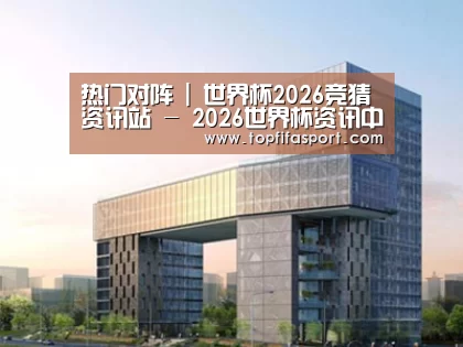 案例展示四