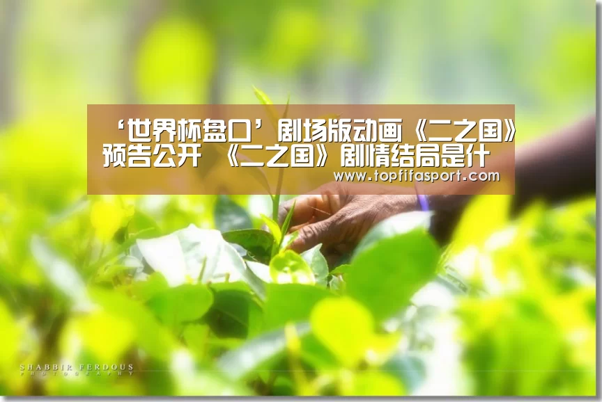 ‘世界杯盘口’剧场版动画《二之国》预告公开 《二之国》剧情结局是什么(图2) 世界杯盘口