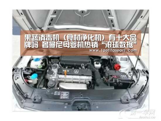 果蔬消毒机(食材净化机)有十大品牌吗 奢曼尼母婴机热销“滚球数据”(图3) 比赛预测
