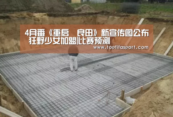 滚球数据