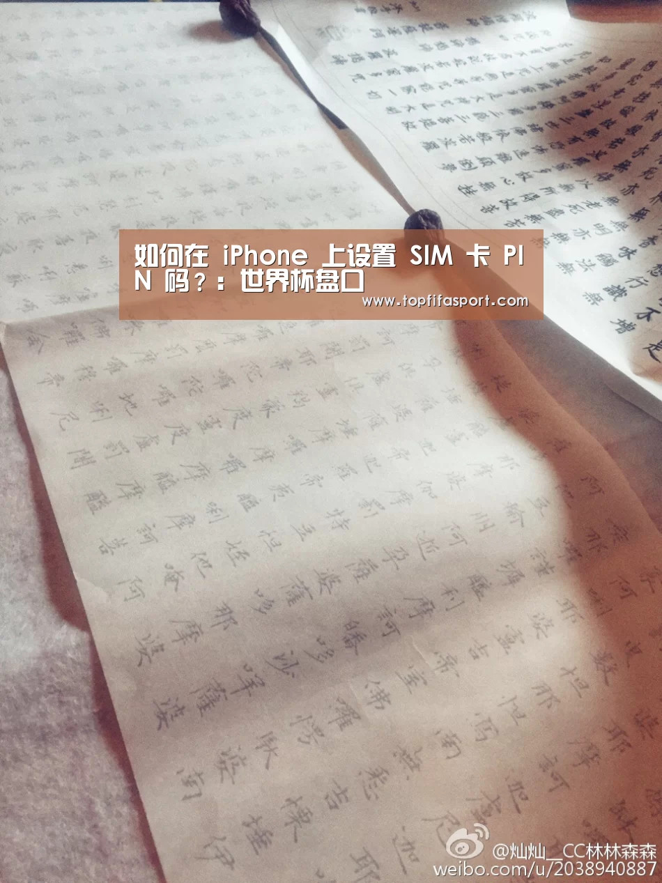 如何在 iPhone 上设置 SIM 卡 PIN 码?:世界杯盘口(图1) 比赛预测