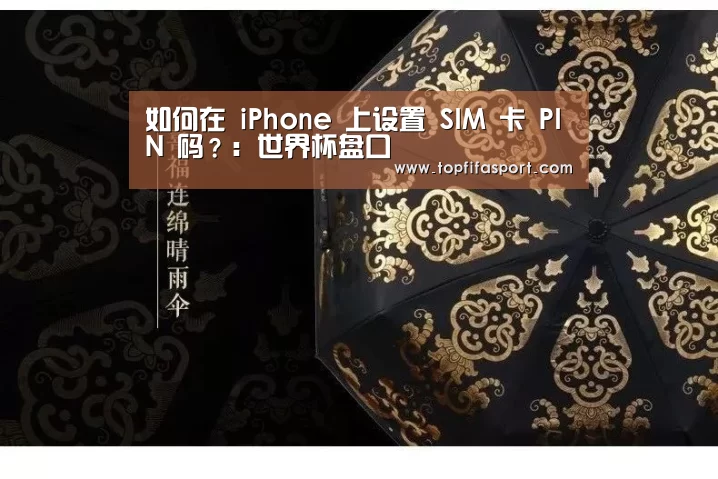 如何在 iPhone 上设置 SIM 卡 PIN 码?:世界杯盘口(图4) 滚球数据
