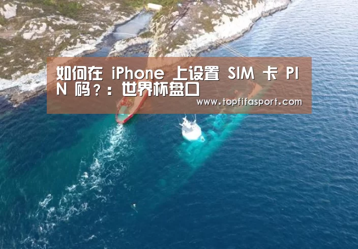 如何在 iPhone 上设置 SIM 卡 PIN 码?:世界杯盘口(图3) 世界杯盘口