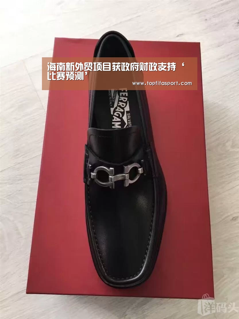 海南新外贸项目获政府财政支持‘比赛预测’(图1) 滚球数据