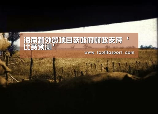 海南新外贸项目获政府财政支持‘比赛预测’(图4) 世界杯盘口