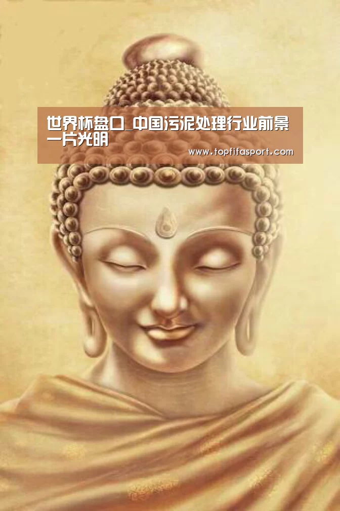 球队分析