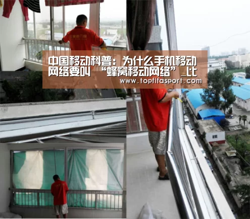 中国移动科普:为什么手机移动网络要叫 “蜂窝移动网络”_比赛预测(图4) 世界杯盘口